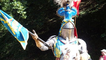 综合格斗赛场焦点！日本队对阵荷兰队，连胜纪录继续刷新，球队势不可挡-开云在线